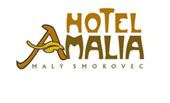 HOTEL AMALIA ***